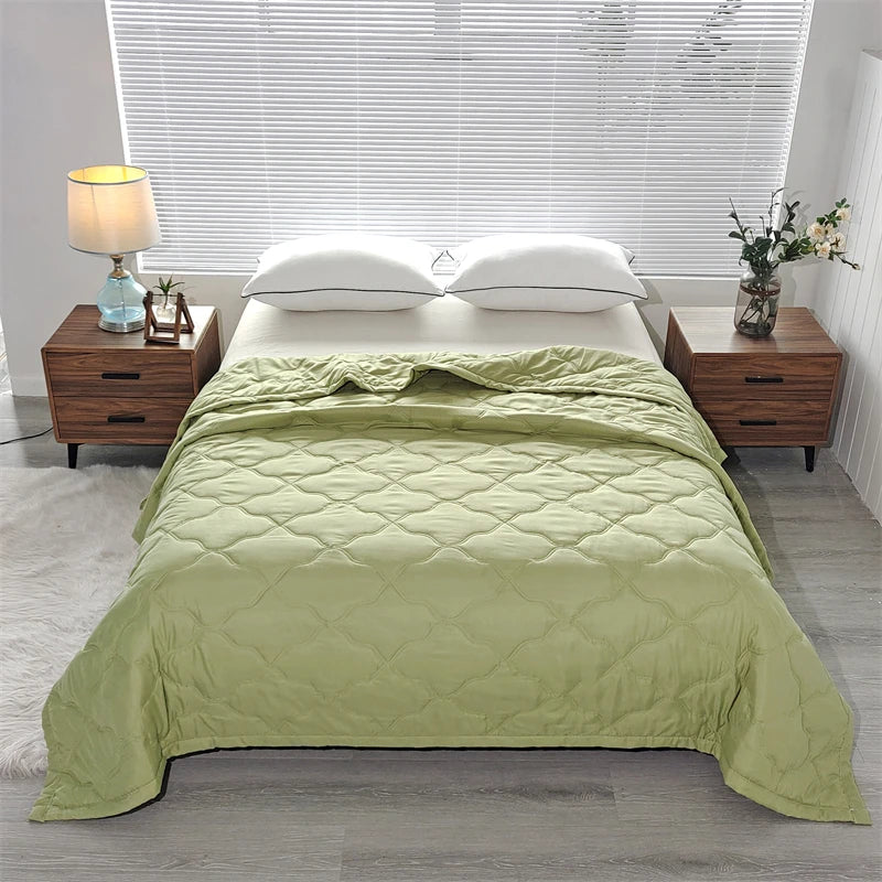 Hemasa Quilted summer single double bed light Printed quilt core Air conditioning quilting twin queen size duvet Thin plaid comforter