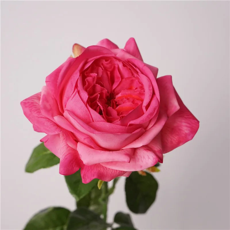 5Pc Moisturizing Austin Rose Real Touch Artificial Flowers Luxury Home Decoration Party Event Wedding Bouquet Fake Flowers Roses