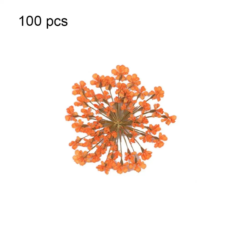 48163395371340