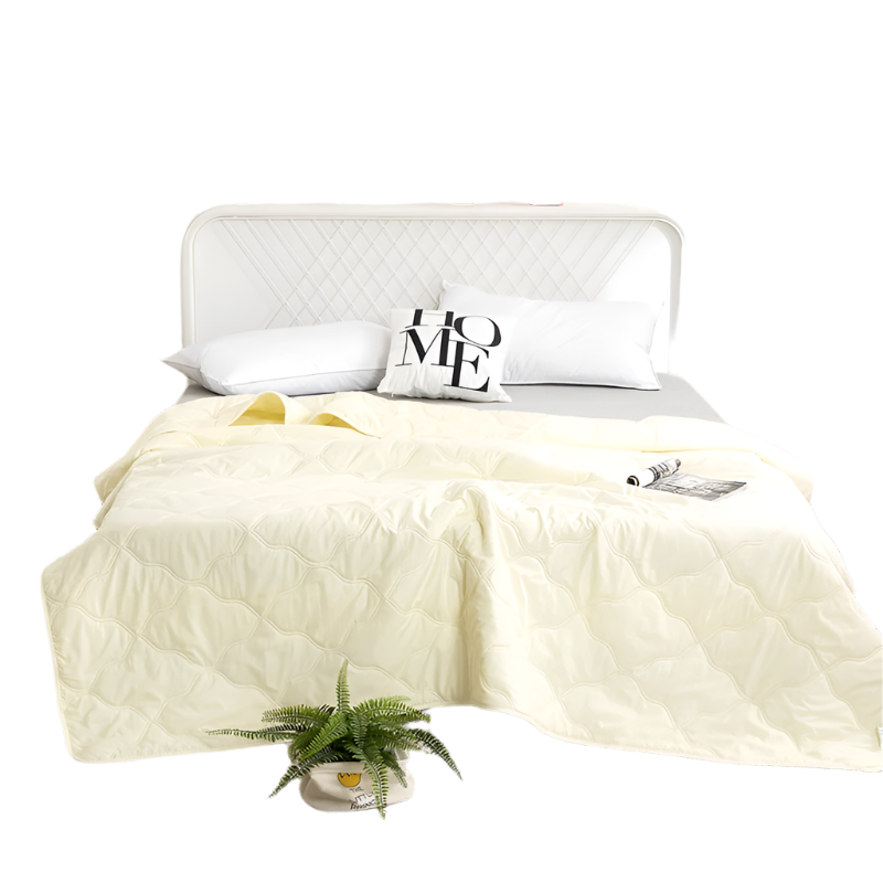 Hemasa  Silk  Thin Quilt Summer Blanket  Single/Queen/King