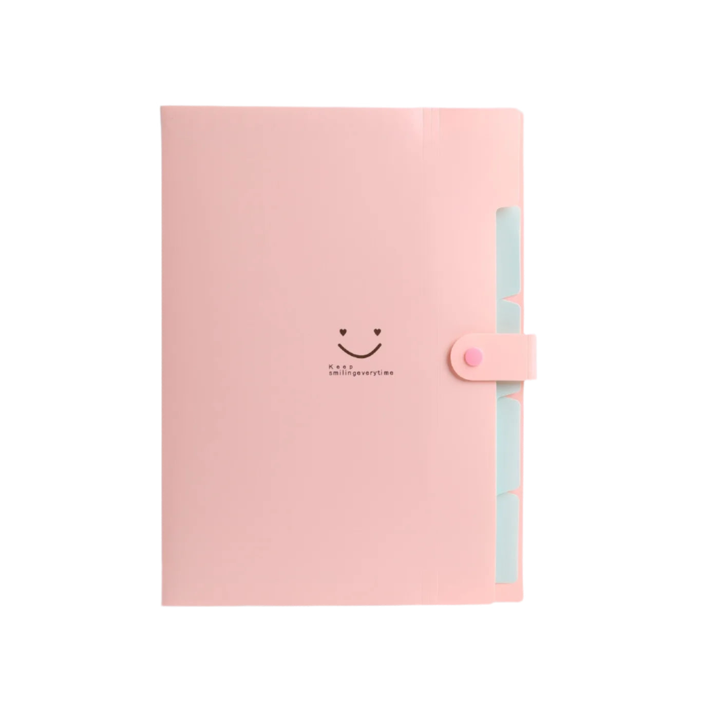 Hemasa 5page Classic File Folders - A4 Document Storage Bags with Plastic Material and Test Roll Holder