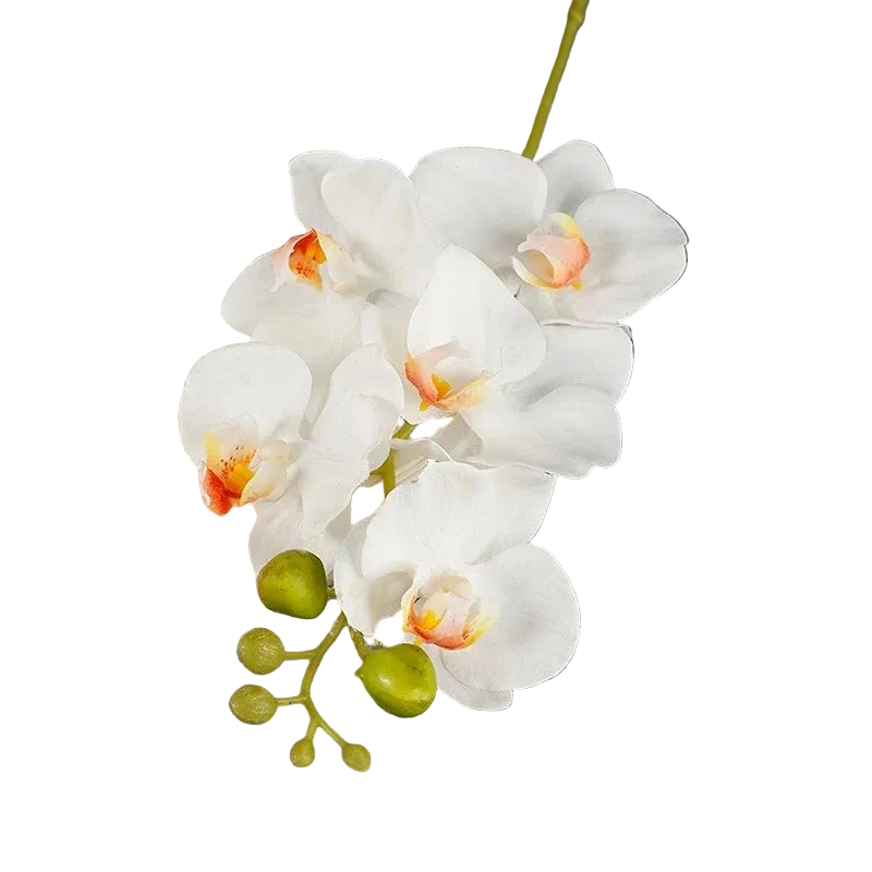 Tejesa 3 Pcs Artificial  Plastic Orchids Plastic Phalaenopsis  Artificial Flowers
