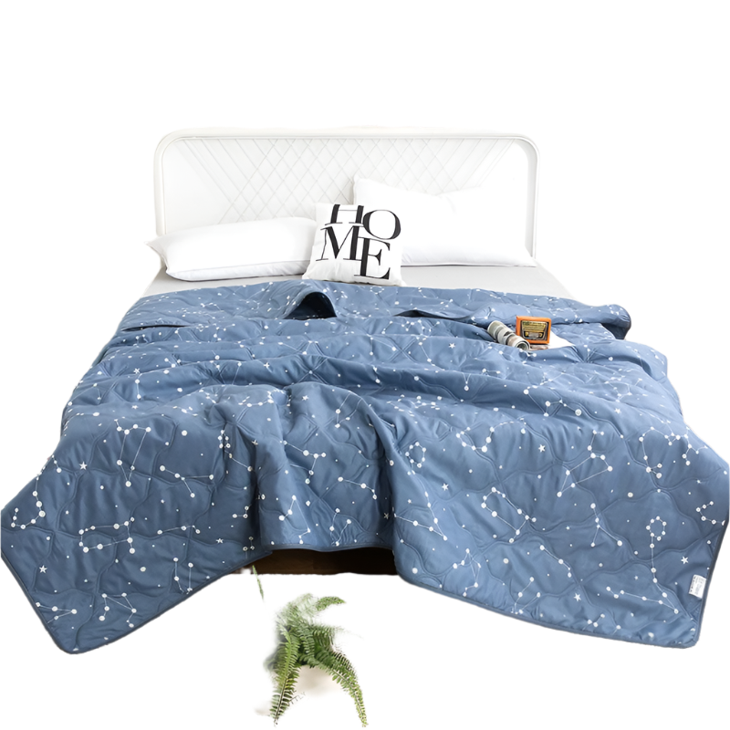Hemasa  Silk  Thin Quilt Summer Blanket  Single/Queen/King