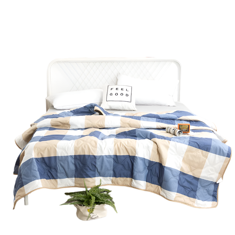 Hemasa  Silk  Thin Quilt Summer Blanket  Single/Queen/King