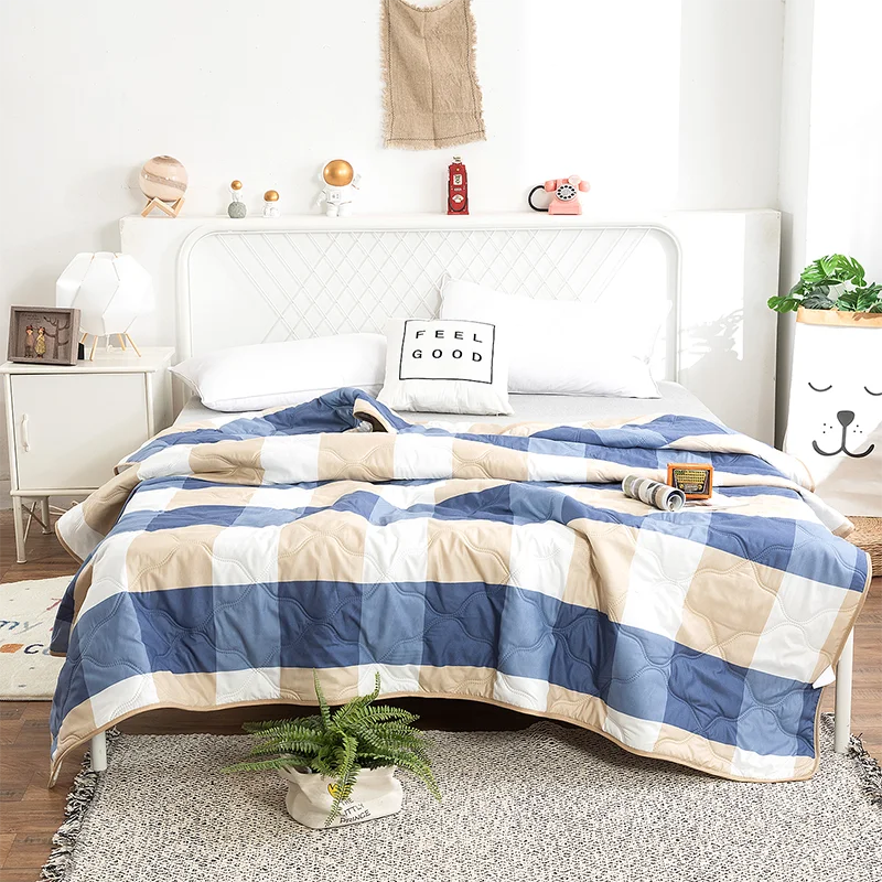 Hemasa  Silk  Thin Quilt Summer Blanket  Single/Queen/King